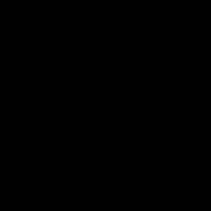 Meet your Posher, Juliette